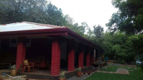 Mahi's Place